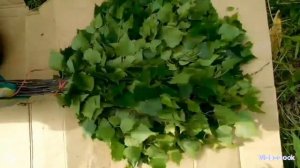 Как сделать идеальный веник для бани? Обзор мастер-класса...