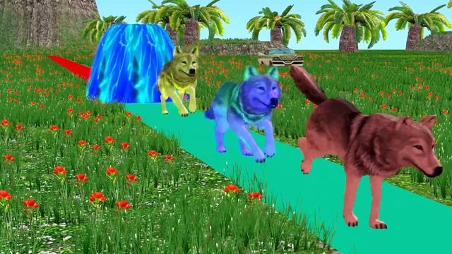 Paint Animals Wolf Tiger Bufalo Gorila Lion Elephant Bear Fountain Crossing Animal Game New