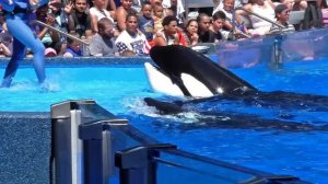 One Ocean Full Show - SeaWorld Orlando 2015