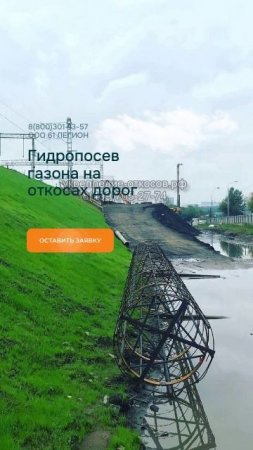 Всходы газона после гидропосева при укреплении откосов дорог многолетними травами