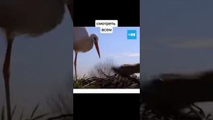 6 ноября 2021 г.