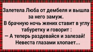 Как Люба от Дембеля Залетела! Сборник Свежих Анекдотов! Юмор!