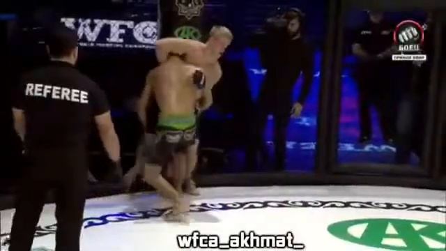 Два тигра мма. смотреть онлайн