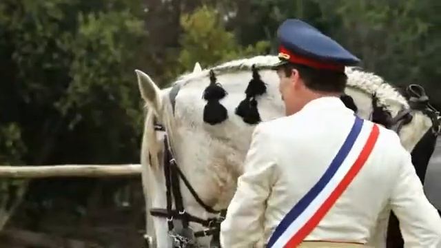 Танец реальности 2013 смотреть онлайн