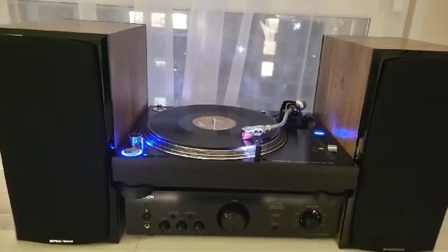 Pioneer, Denon, Dynovoice смотреть онлайн