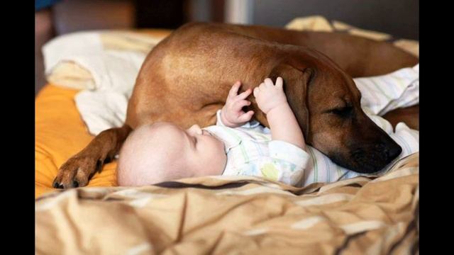 152 Д Голов и БДХ пу В Попова - Когда мои друзья со мной смотреть онлайн