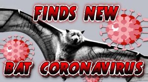 Chinese Scientists Discover NEW Bat Coronavirus | covid virus | Bat corona virus