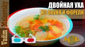 3D stereo red-cyan Уха двойная из окуня и форели. Мальковский Вадим