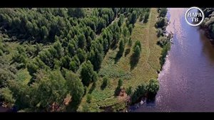 «Журавли над Россией»