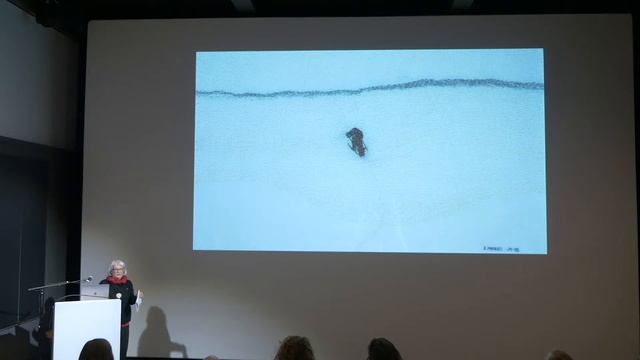 Agenda: New Materialism and Contemporary Craft. 2. Britta Marakatt-Labba смотреть онлайн