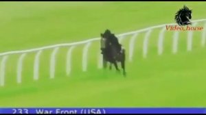 Самая быстрая лошадь