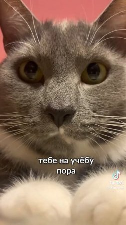 1000145815.mp4