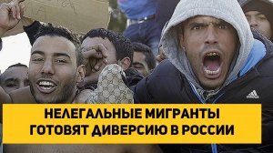 Нелегальные мигранты готовят диверсию в России