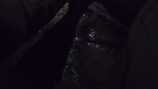 Karp z dzikiej wody 16 kg 94 cm moje nowe PB смотреть онлайн