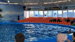 Дельфинарий 🐬 в Минске