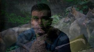 Волки напали на деревню. Ценой своей жизни пес защищал хозяина, но их было много!