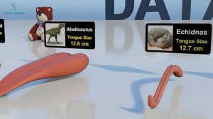 100 Animal, Dinosaur And Sea Monster Tongues 3D Size Comparison