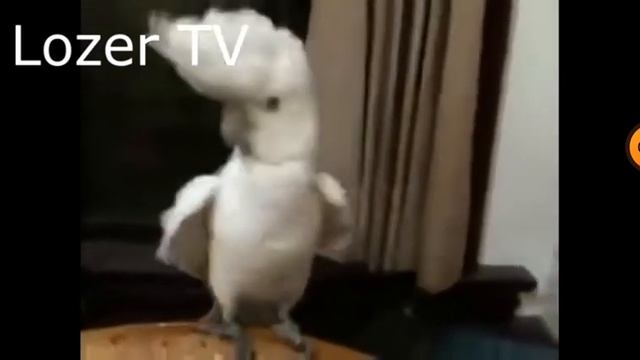 21 октября 2020 г. смотреть онлайн