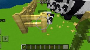 обзор дома и пандачки