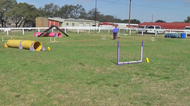 Lexi  Beluga Open Chances 03-16-2014