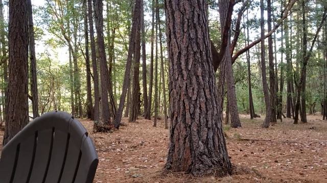 Beany vs potato bug смотреть онлайн