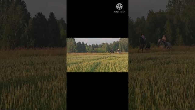 Джиллес и Слава смотреть онлайн