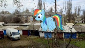2 Часть Rainbow dash (в реальной жизни)