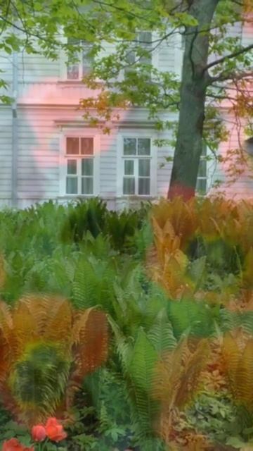 Фестиваль тюльпанов на Елагином острове: краски весны в Санкт-Петербурге