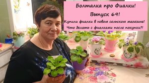 Болталка про Фиалки! Выпуск 69! Купили Фиалки в новом сельском магазине!