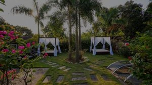 Stone Wood Resort, Mandrem, Goa, India