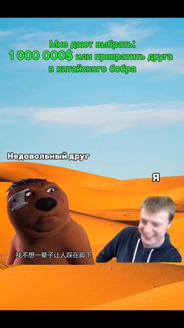 Друг - Бобёр  Меллстрой