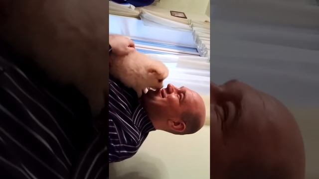 Год собаки смотреть онлайн