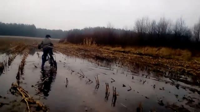 Велосипед на болоте смотреть онлайн