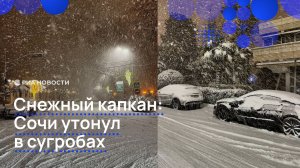 В Сочи выпало рекордное количество снега