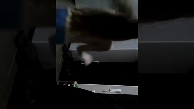 ПРАНК НАД МАМОЙ (читайте описание ) смотреть онлайн