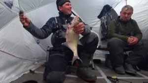 Нашли ту самую Яму где Крупняк жирует ночью. Зимняя рыбалка на Леща