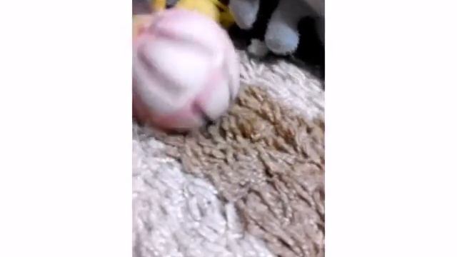 Обзор наших игрушек смотреть онлайн