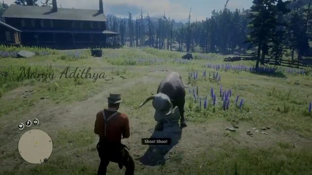 Red Dead Redemption 2 | Farming for beginners | Catch The Bull смотреть онлайн
