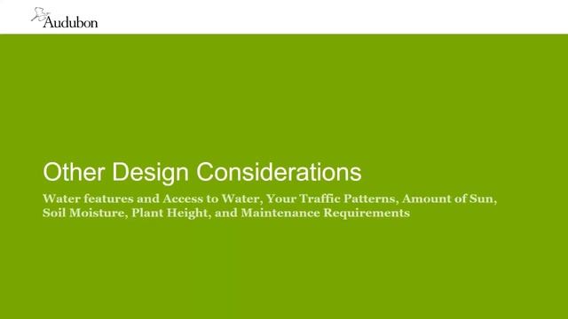 Native Plants for Bird Friendly Communities Jillian Bell 6 9 21 смотреть онлайн