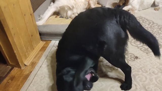 8 ноября 2022 г. смотреть онлайн