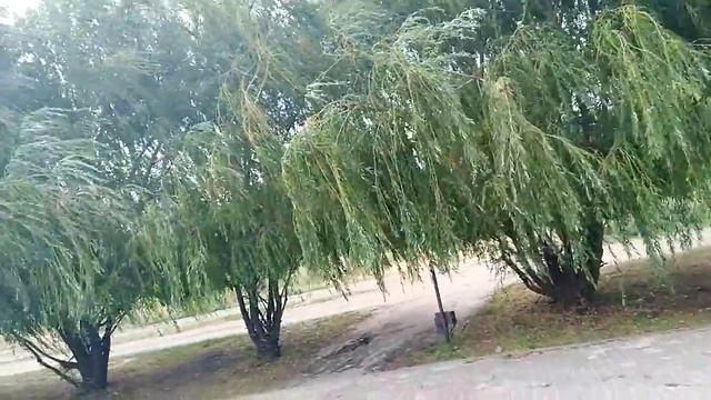 11 июля 2019 г. смотреть онлайн