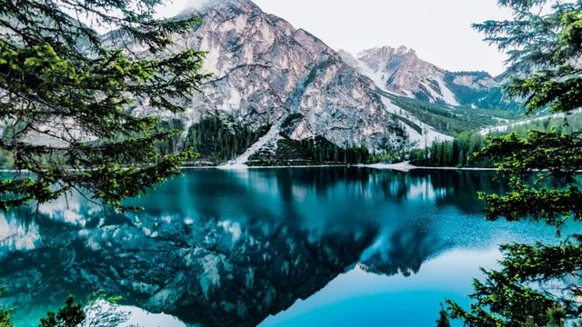 Семья Колесниковых/Новости из Дворца. смотреть онлайн