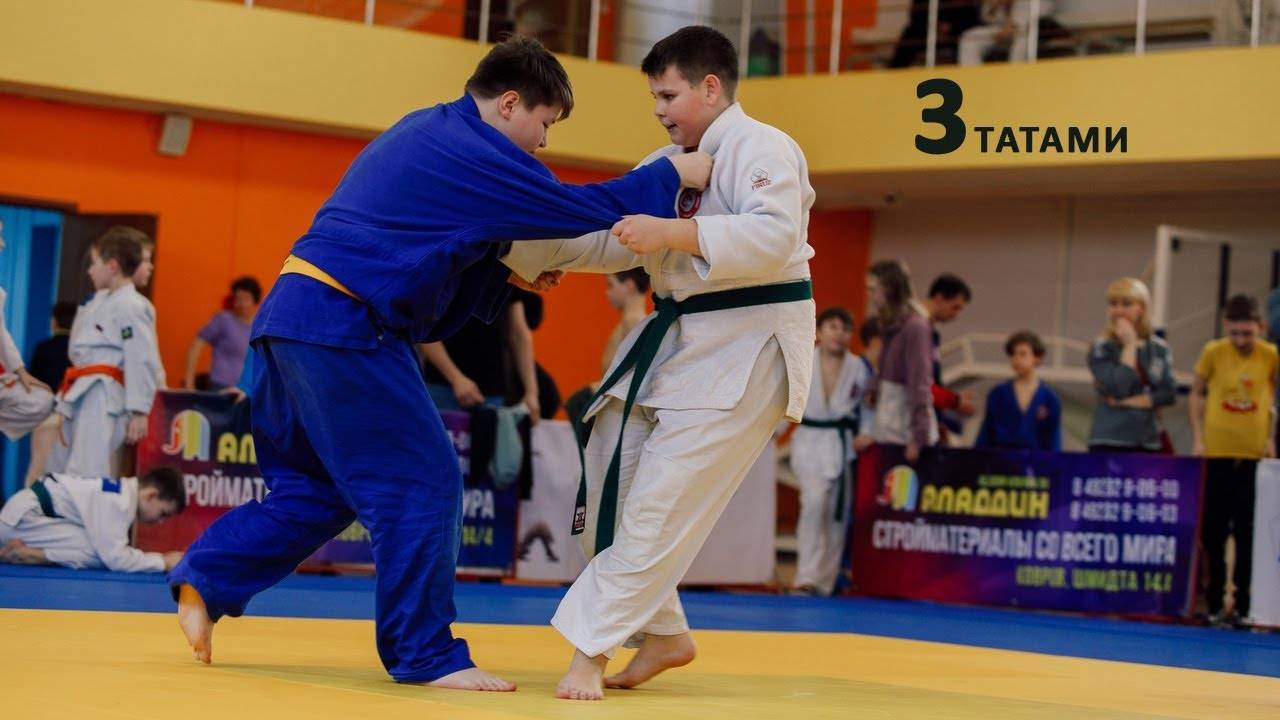 Трансляция 3 турнира по дзюдо ТВЦ Аладдин  22.02.2025