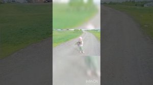 ДЕЛАЮЩИЙ ДОБРО или SAKPANOV MANSUR. ЗА ЧТО СЕРГЕЙ ПОЛУЧИЛ ШТРАФ? НА ЧТО МАНСУР ПРОСИТ ДЕНЬГИ?