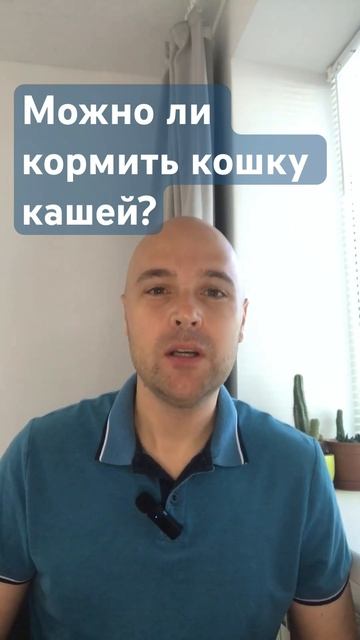 Можно ли кормить кошку кашей? #кошки #ветеринар смотреть онлайн