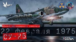 50 лет СУ-25. Проект "ЗАВТРА ВОЙНА" DCS World