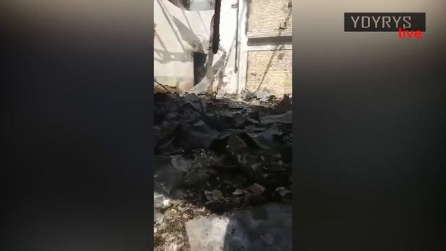 ФУГИ Кызыл-Кыяны четинен кертип сатып жатат || Ыдырыс Исаков