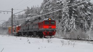 Поезда и зимняя сказка на Казанском направлении Московской железной дороги. Перегон Авсюнино-Шатура