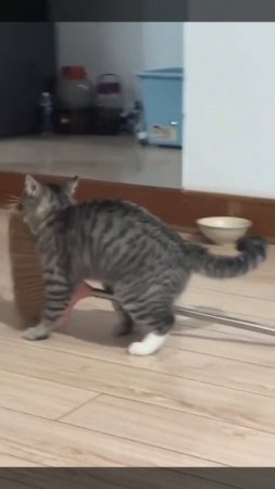 Вы прилетели или улетаете)))