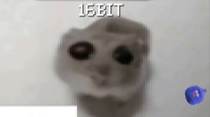 Sad Hamster everytime more bits